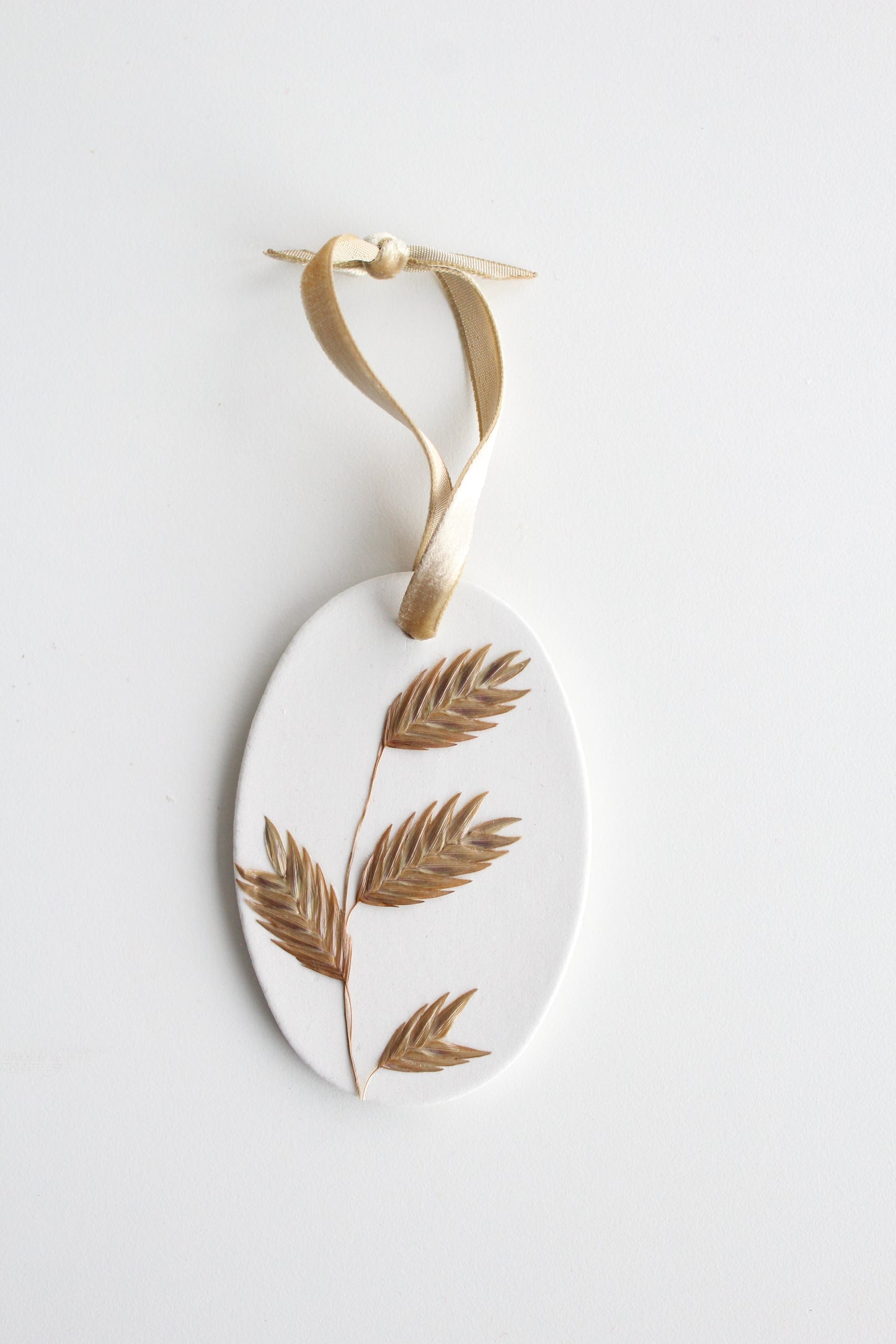 Northern Sea Oats, symbol of Prosperity, Abundance & Nature's Beauty